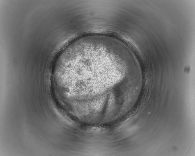 X0000091060542200709041201