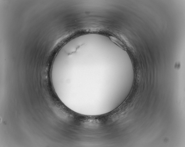 X0000091060543200709041201