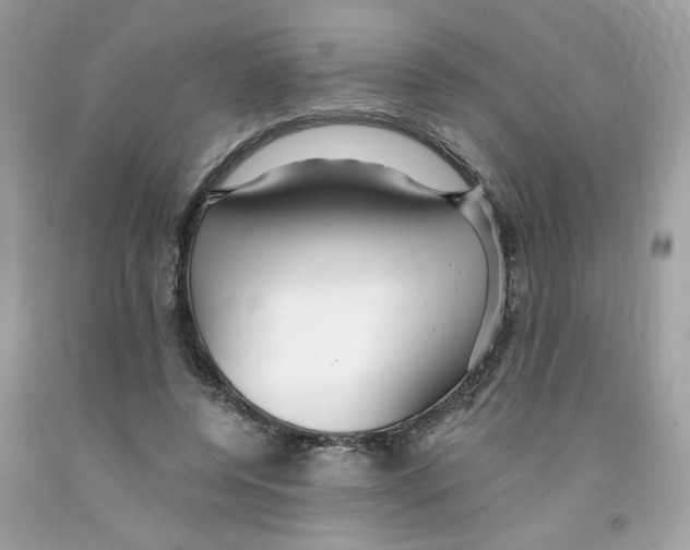 X0000091060544200709041201