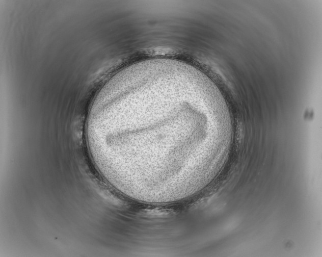 X0000091060545200709041201