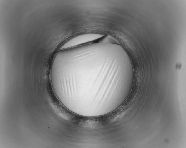 X0000091060546200709041201