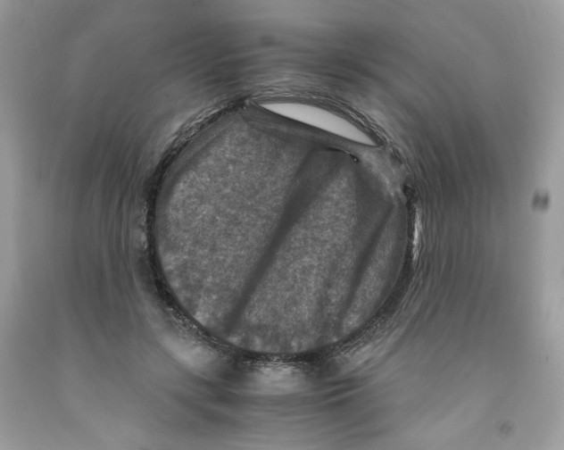 X0000091060547200709041201