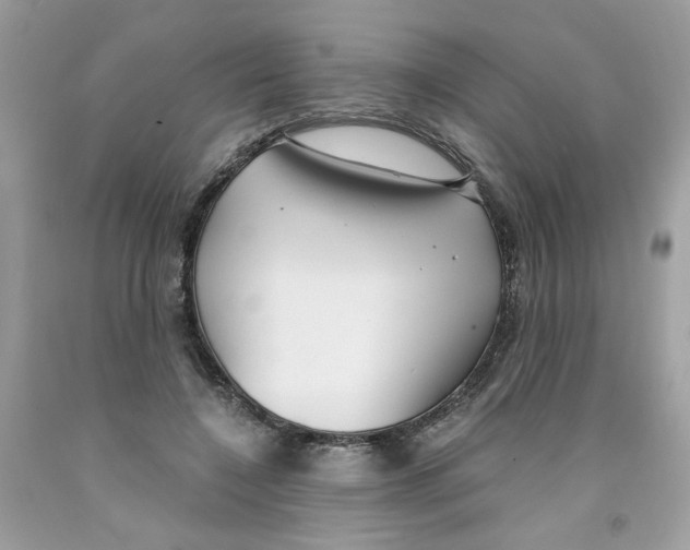 X0000091060548200709041201