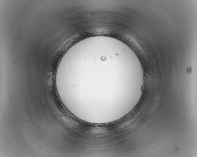 X0000091060549200709041201