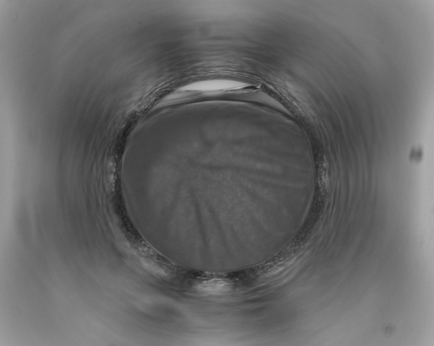 X0000091060551200709041201