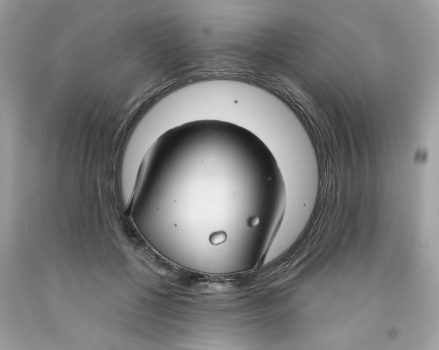 X0000091060552200709041201