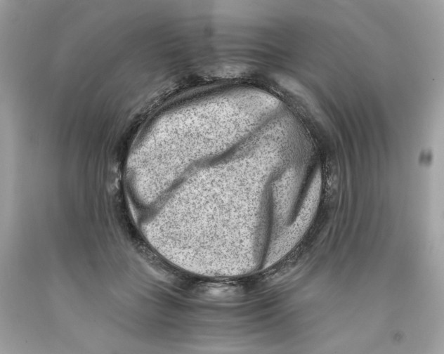 X0000091060555200709041201