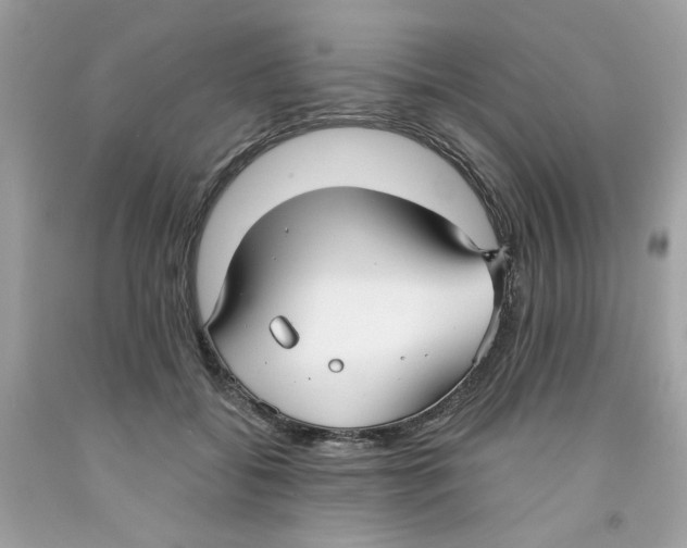 X0000091060556200709041201