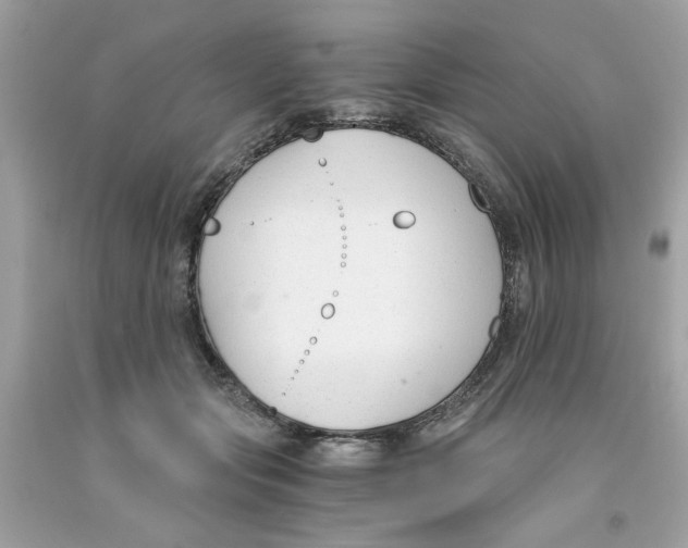 X0000091060557200709041201