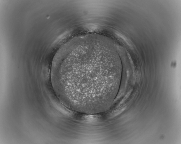 X0000091060558200709041201