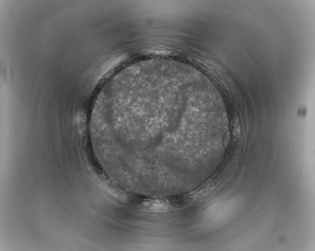 X0000091060559200709041201