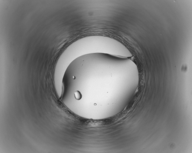 X0000091060560200709041201