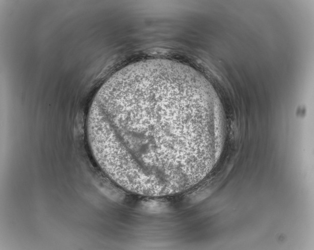 X0000091060561200709041201