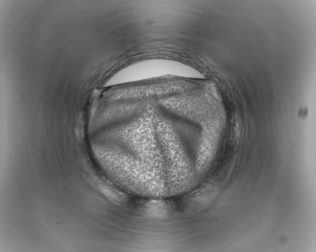 X0000091060562200709041201