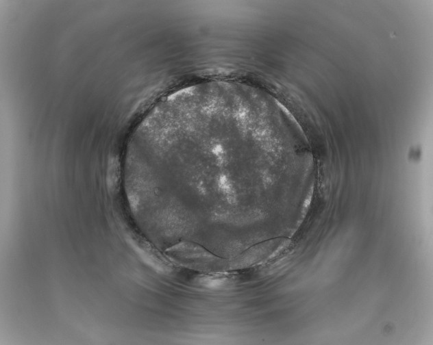 X0000091060563200709041201