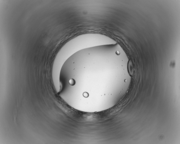 X0000091060564200709041201