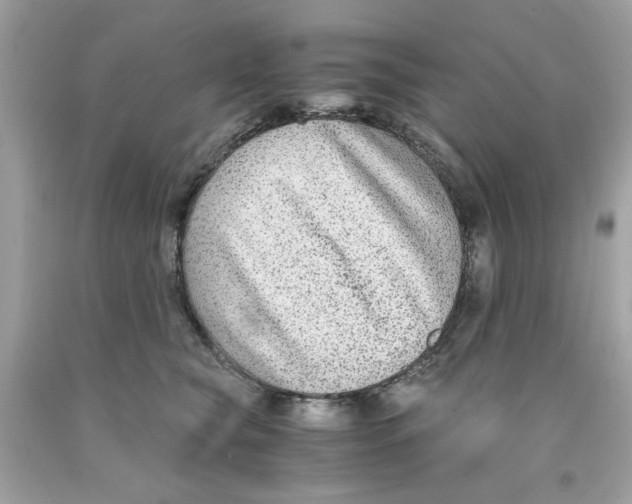 X0000091060565200709041201