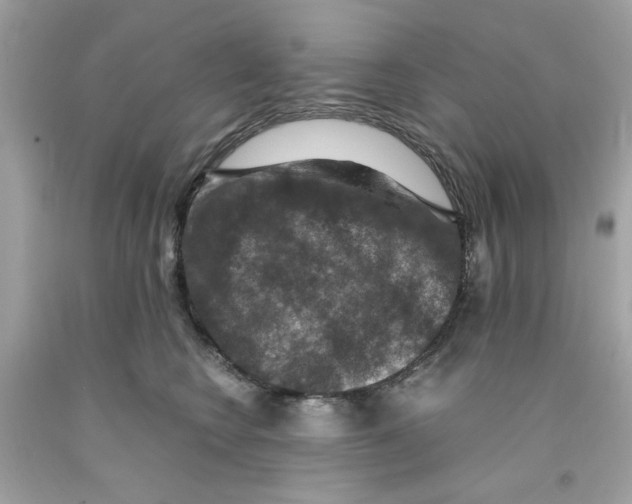 X0000091060566200709041201