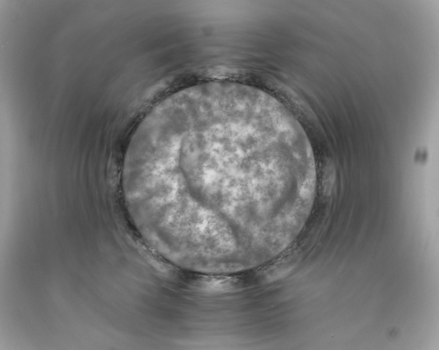 X0000091060569200709041201