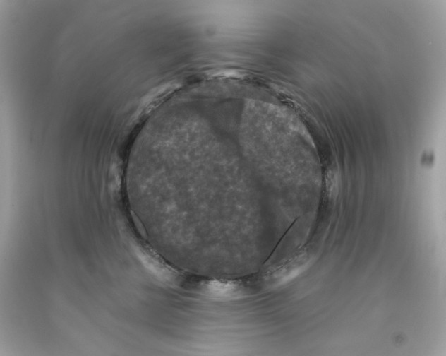 X0000091060570200709041201