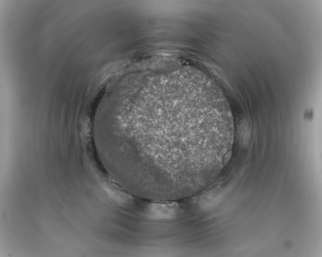 X0000091060571200709041201