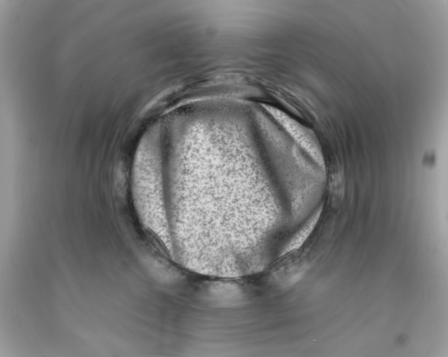 X0000091060572200709041201