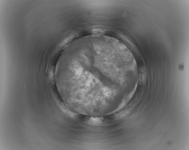 X0000091060573200709041201