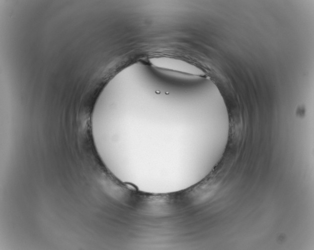 X0000091060574200709041201