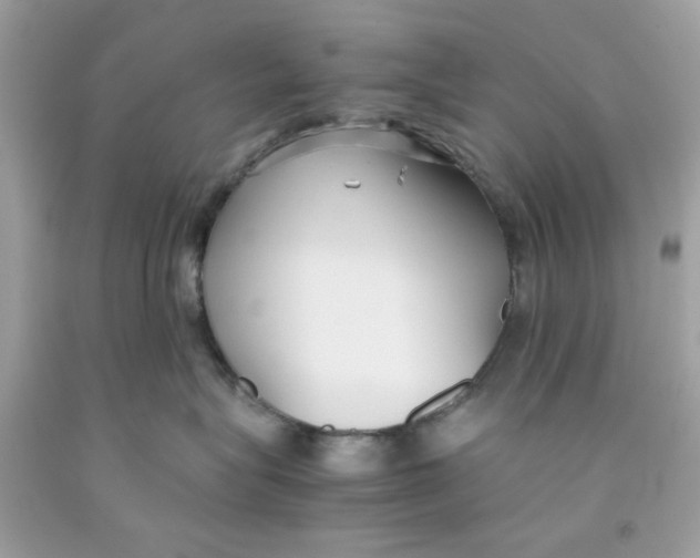 X0000091060575200709041201