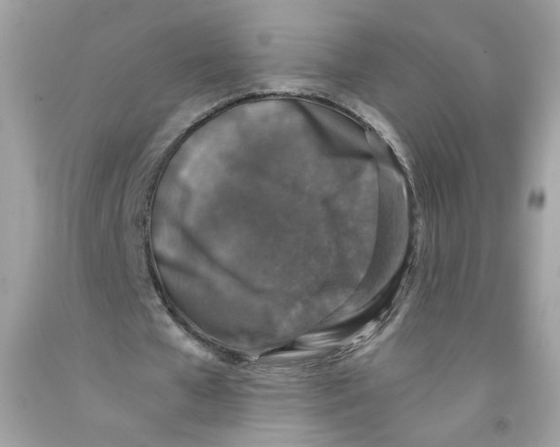 X0000091060577200709041201