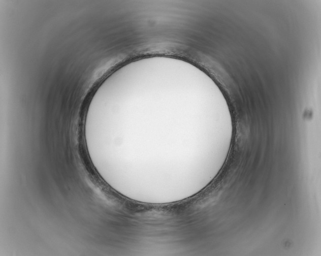 X0000091060578200709041201