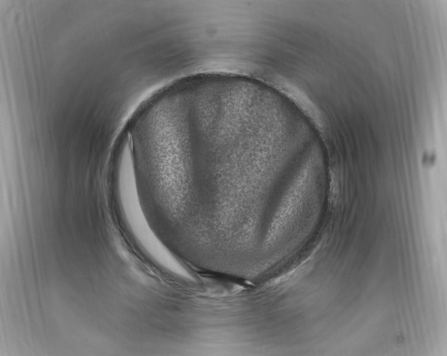 X0000091060580200709041201