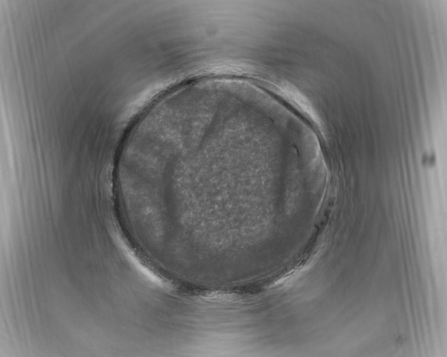 X0000091060581200709041201