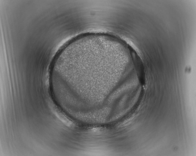 X0000091060584200709041201