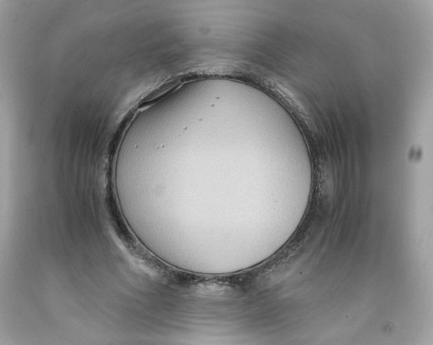 X0000091060586200709041201