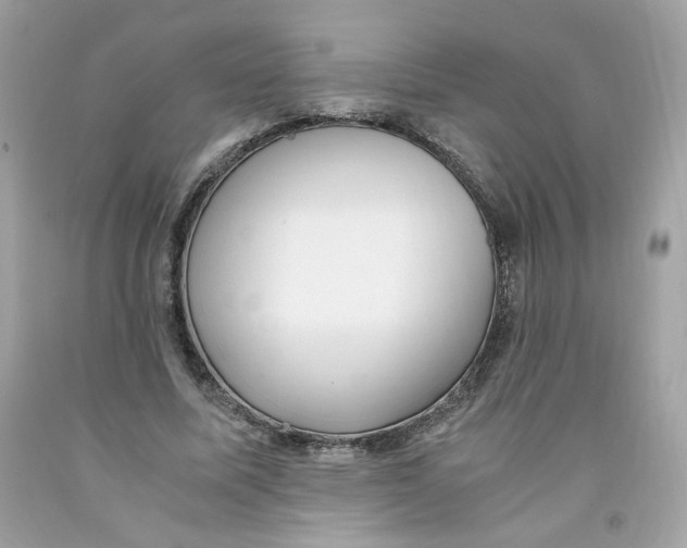 X0000091060587200709041201