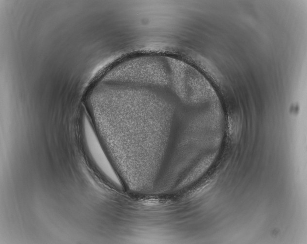 X0000091060588200709041201