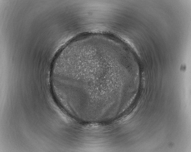 X0000091060589200709041201