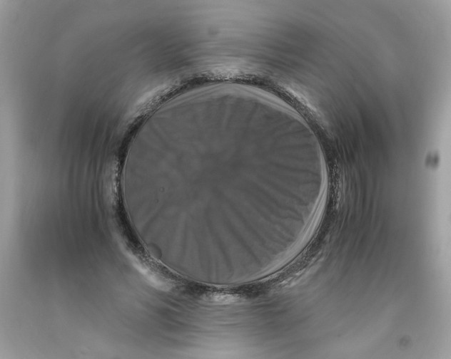 X0000091060590200709041201