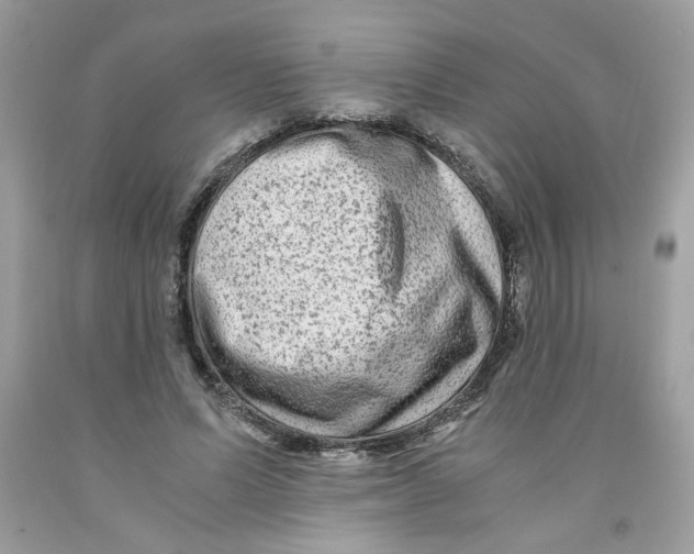 X0000091060591200709041201