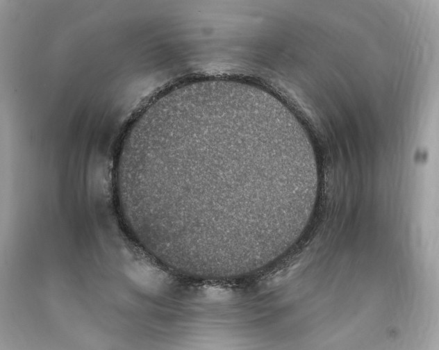 X0000091060592200709041201