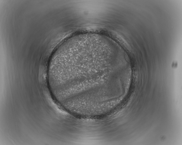 X0000091060593200709041201