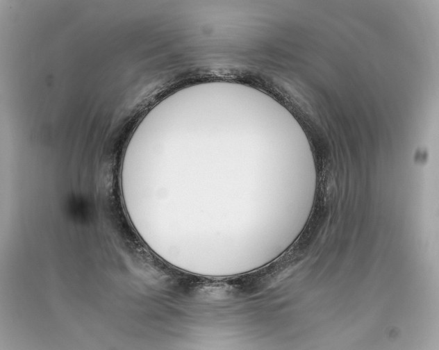 X0000091060595200709041200