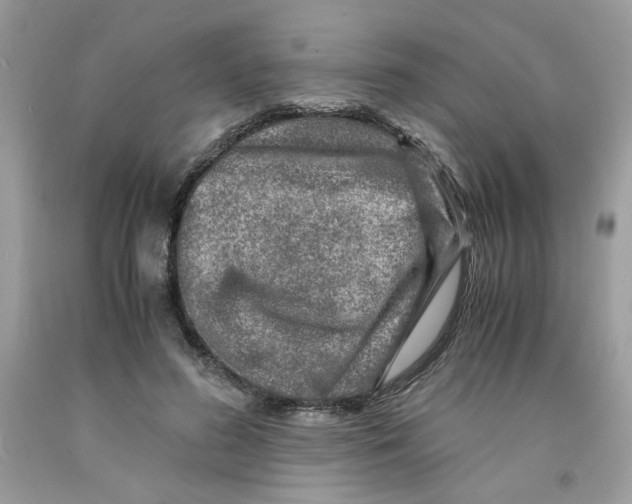 X0000091060596200709041200