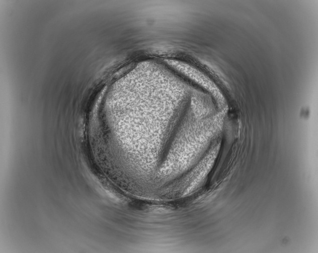 X0000091060597200709041200