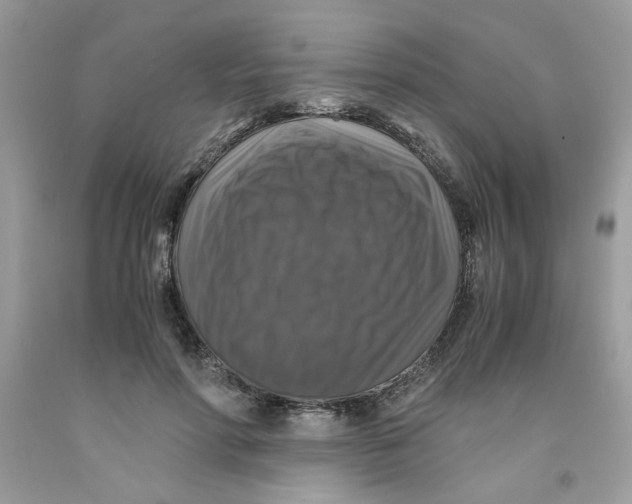 X0000091060598200709041200