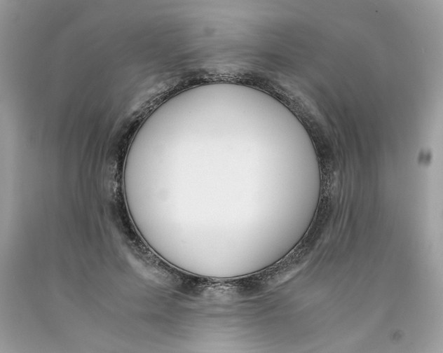 X0000091060599200709041200