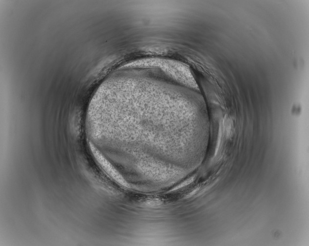 X0000091060600200709041200