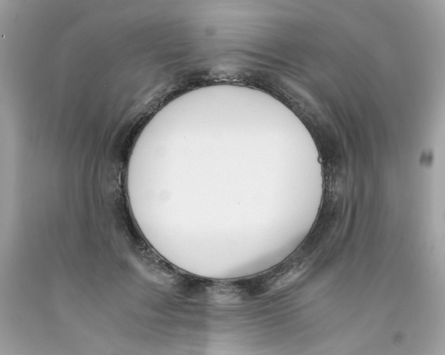 X0000091060603200709041200