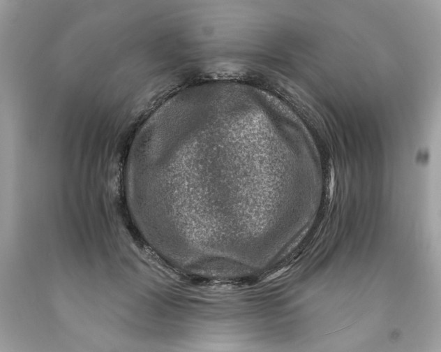 X0000091060604200709041200